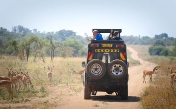 Adventure to See Gorillas & Wildlife in Rwanda Rwanda Safari Adventure