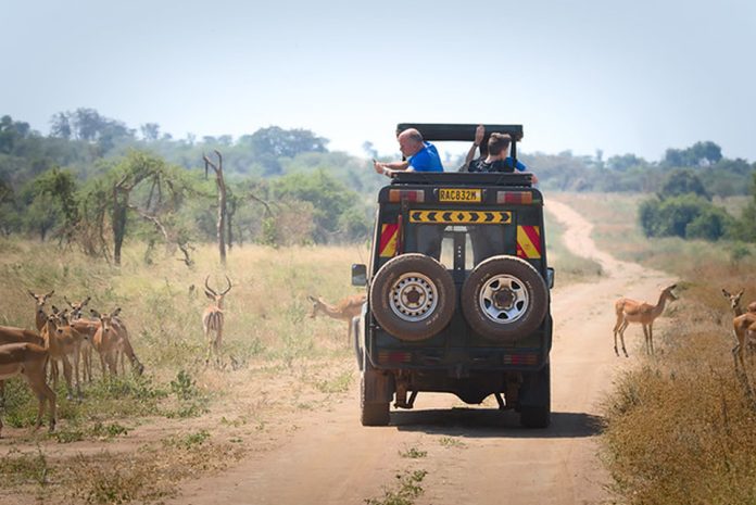 Rwanda Safari Adventure