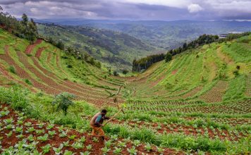 Rwanda Emerges as a Popular Destination Rwanda the Land of a Thousand Hills
