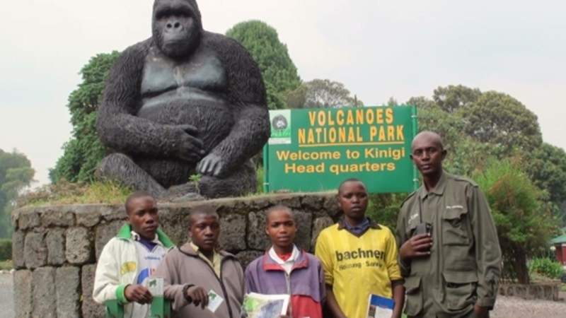 Volcanoes National Park Rwanda