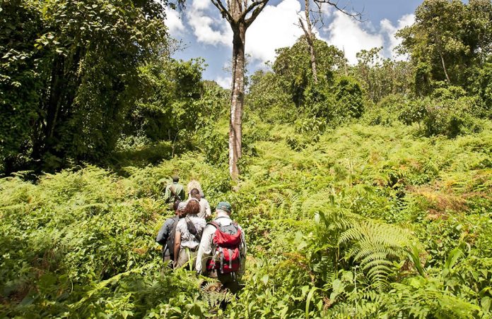 Rwanda Trek